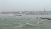Boats moored during Typhoon Vongfong