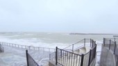 Sea waves during Typhoon Vongfong