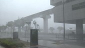 Bridge and building during Typhoon Vongfong