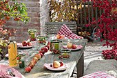 Ländliche Apfel-Tischdeko mit Malus ( Äpfeln ) in Reihe