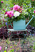 Early summer perennials bouquet in watering can on chair in the bed