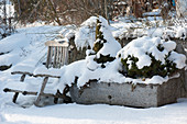 Verschneiter Steintrog mit Koniferen und Gartenstuhl auf Terrasse