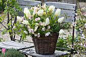 Grün-weißer Strauß aus Tulipa 'Purissima' ( Tulpen ), Helleborus orientalis