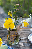 Small bouquet of Narcissus 'Orangery' (split-corona daffodil)