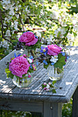 Small bouquets in glasses, rose, aquilegia, viola cornuta