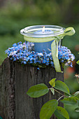 Small preserving jar as lantern in wreath from Myosotis
