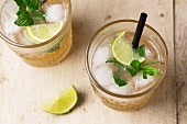 Cocktails with gin, ginger ale and mint