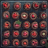Mini chocolate gugelhupfs with various red berries (vegan)