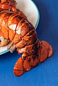 Close up of lobster tail