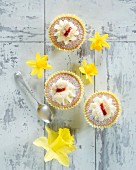 Spring butterfly cupcakes