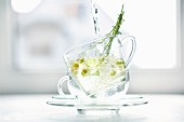 Hot water being poured over fresh chamomile blossoms in two glass cups stacked on top of each other