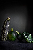 Different type of courgettes lined up