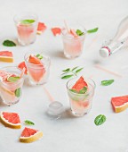 Flat-lay of cold refreshing summer alcohol cocktail with fresh grapefruit, mint and ice in glasses