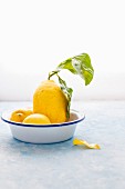 Stillleben mit Zitronen in Emailleschüssel