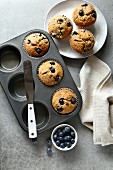Freshly baked blueberry muffins in a baking tray and on a plate