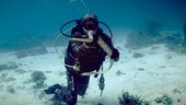 Diver with sea snake