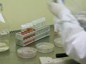 Preparing petri dishes and blood samples