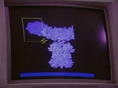 Antibody computer modelling