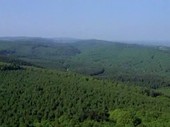 Forest of Dean, aerial footage
