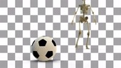 Footballers skeletal structures