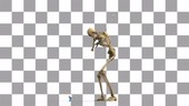 Person playing golf, skeletal structure