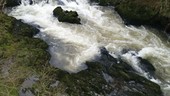 River Teifi, Wales