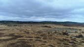 Cors Caron Bog, Wales