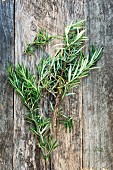 Fresh rosemary on wooden background