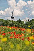 Diessen church tower in Upper Bavaria, Germany