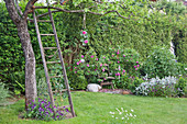 Old wooden ladder leaning against tree in idyllic summer garden