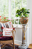 Cushions on rattan armchair and potted hydrangea on plant stand in conservatory