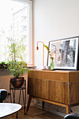 Houseplant on plant stand next to retro wooden sideboard