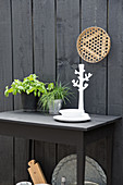 Herbs and candlestick on black table below decorative plate on black-painted wooden wall