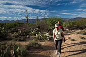 Saguaro National Park Cactus Forest, Arizona, USA