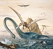 Cretaceous sealife, illustration