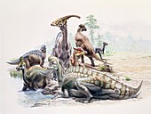 Hadrosaur dinosaurs, illustration