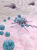 Natural killer cells attacking cancer, illustration