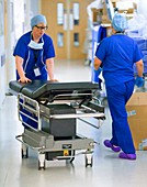 Surgical staff in a hospital corridor
