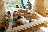 Mammoth fossil excavations