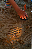 Mammoth fossil footprint excavation