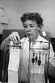 Mary Alice McWhinnie, US biologist