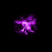 Crab nebula, X-ray image