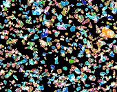 Glitter, light micrograph