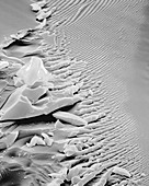 Fractured glass edge and surface, SEM