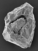 Micrometeorite, SEM