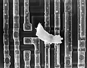 Computer chip with dirt, SEM