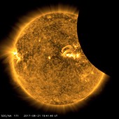 2017 total solar eclipse, SDO image