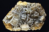 Mineral epimorphosis I