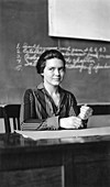 Ethel Stiffler, US botanist