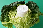 Cabbage leaves and moisturizing cream